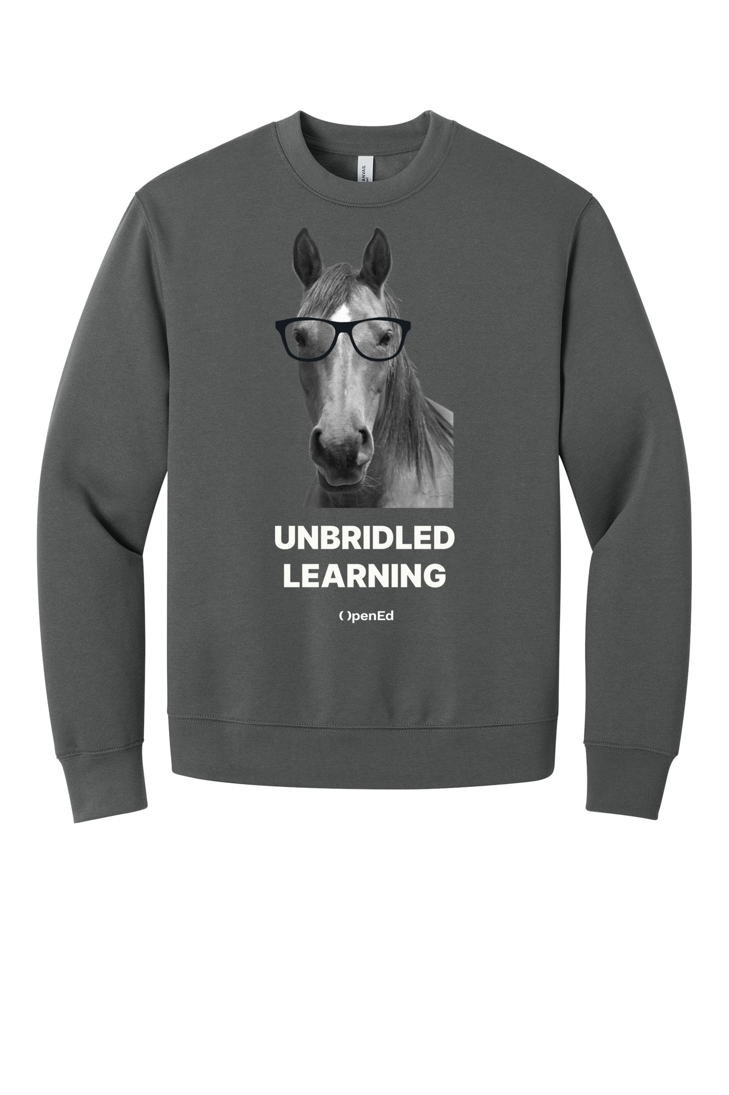 Unbridled Learning Sweater