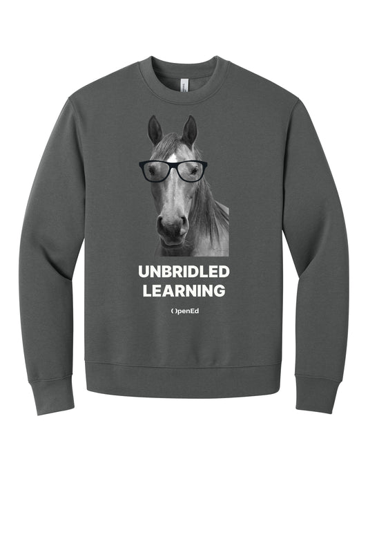 Unbridled Learning Sweater