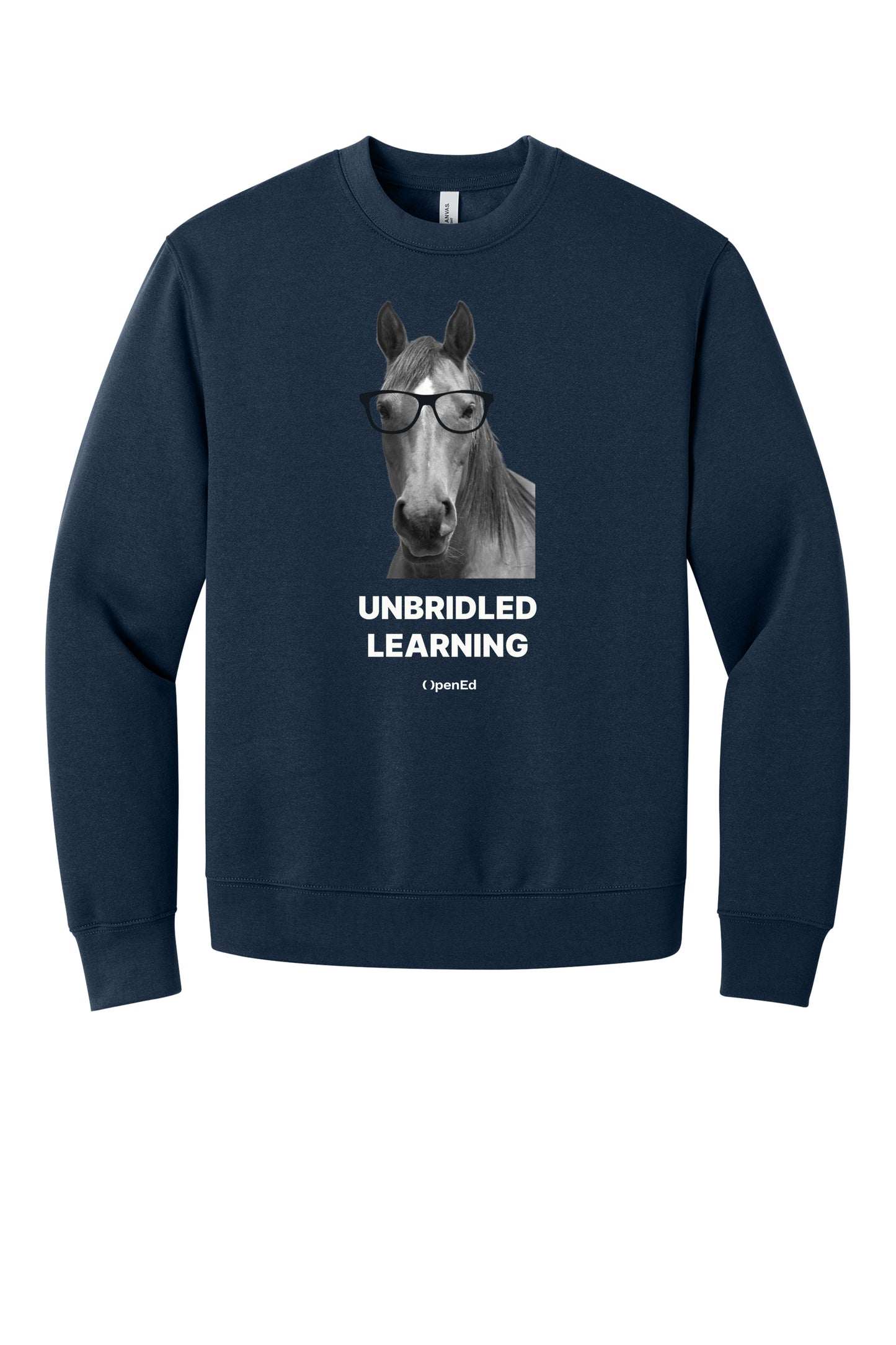 Unbridled Learning Sweater