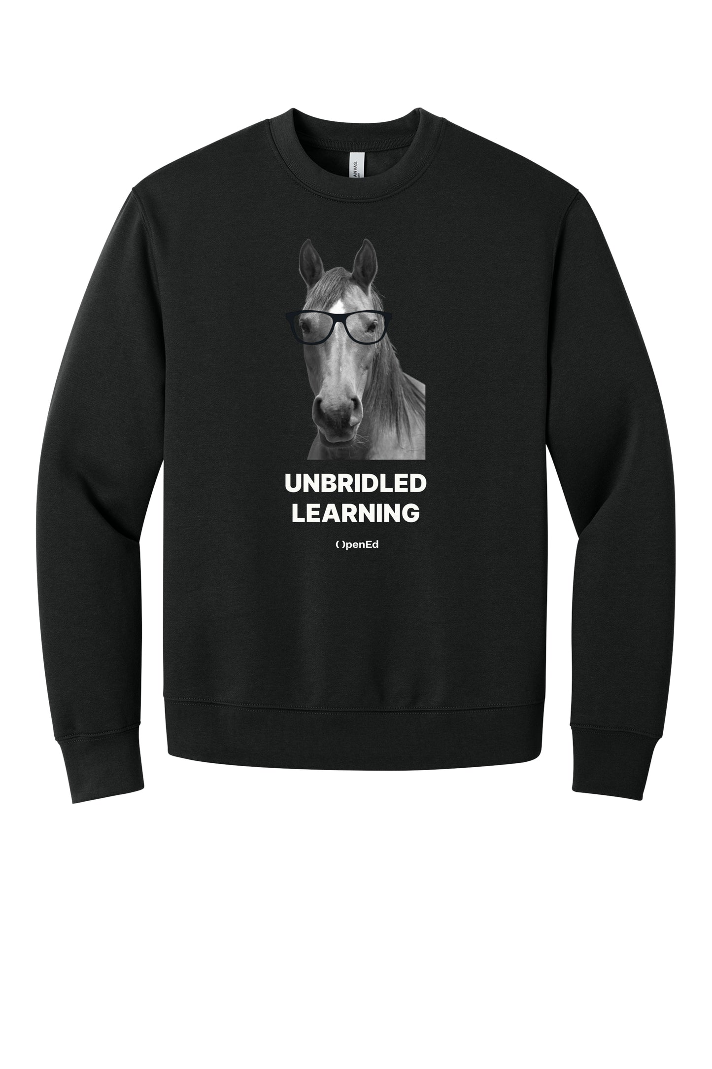 Unbridled Learning Sweater