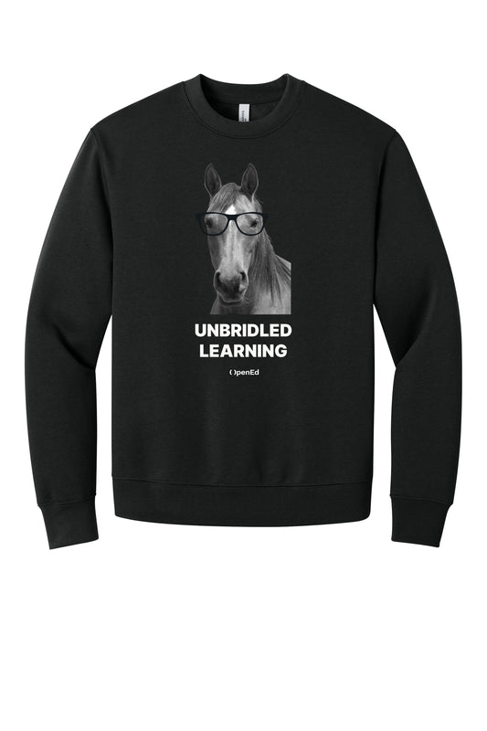 Unbridled Learning Sweater